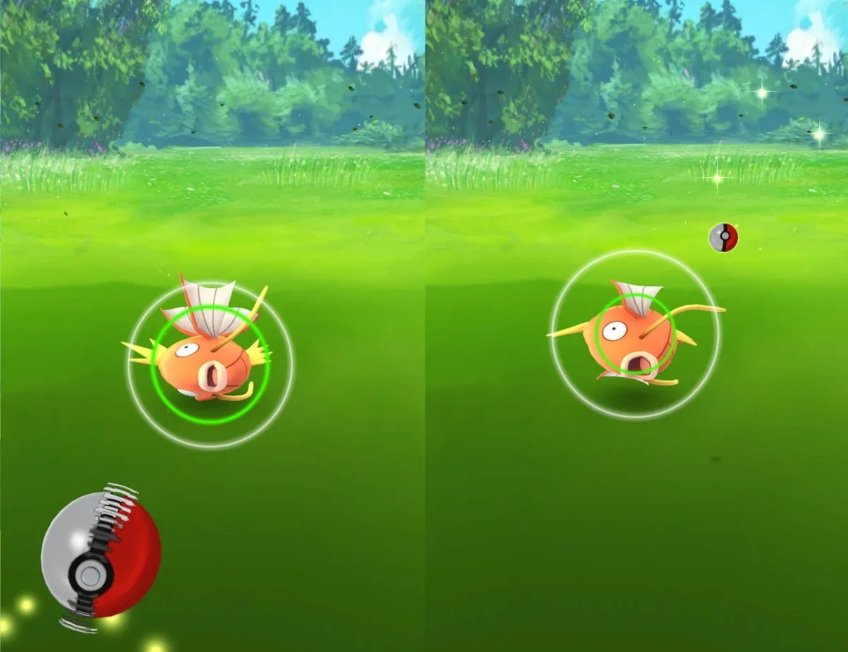 Auto-catch and spin functions