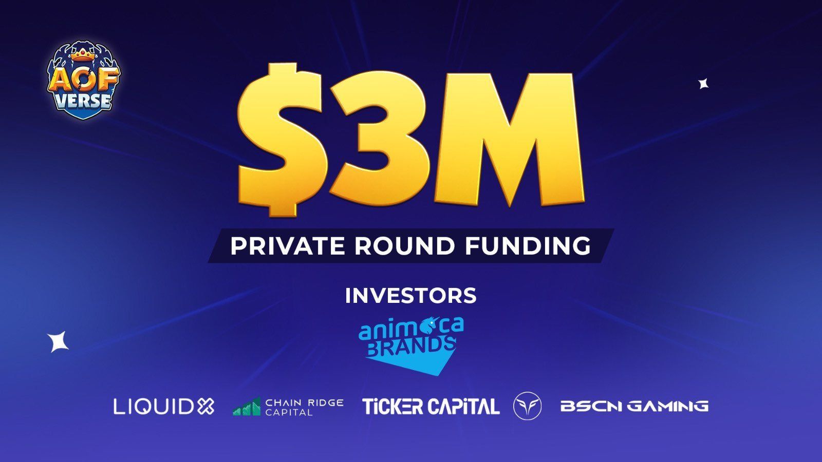 AOFverse, 300만 달러 투자 유치 성공 image