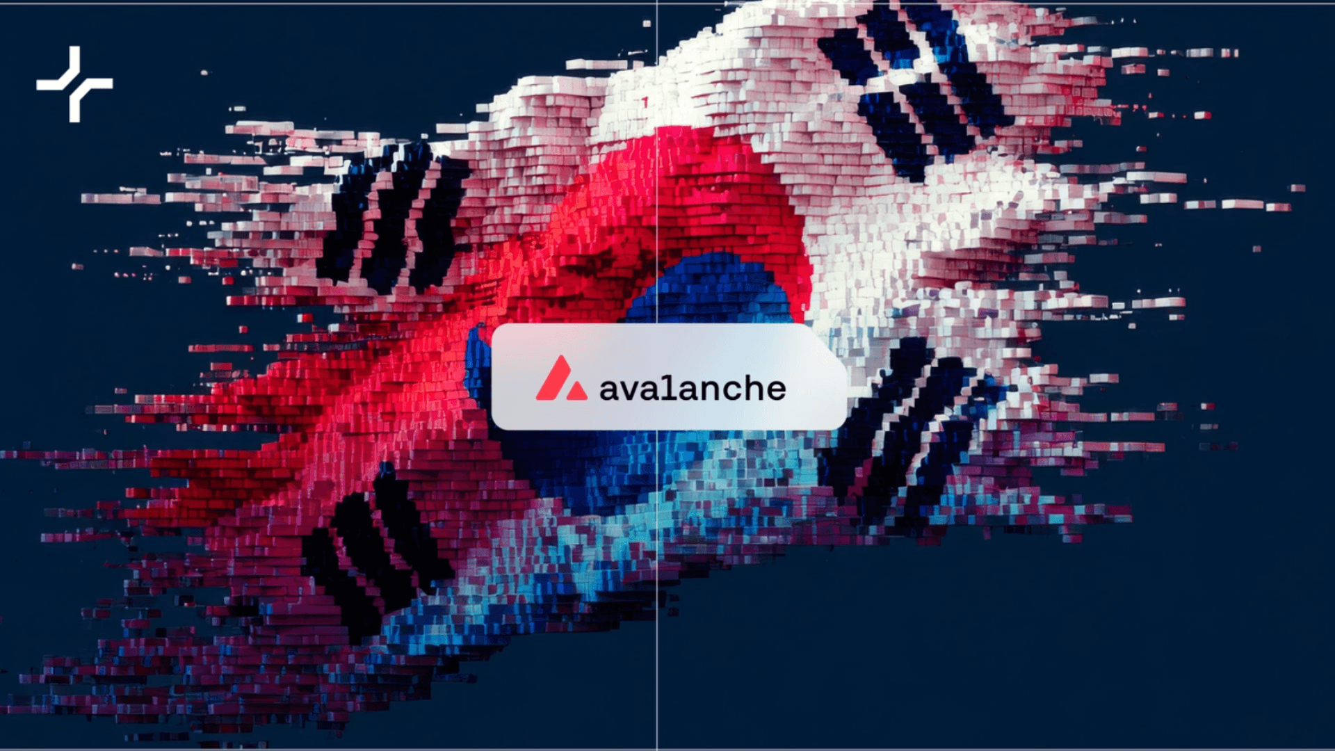 Avalanche baut Präsenz in Südkorea aus image