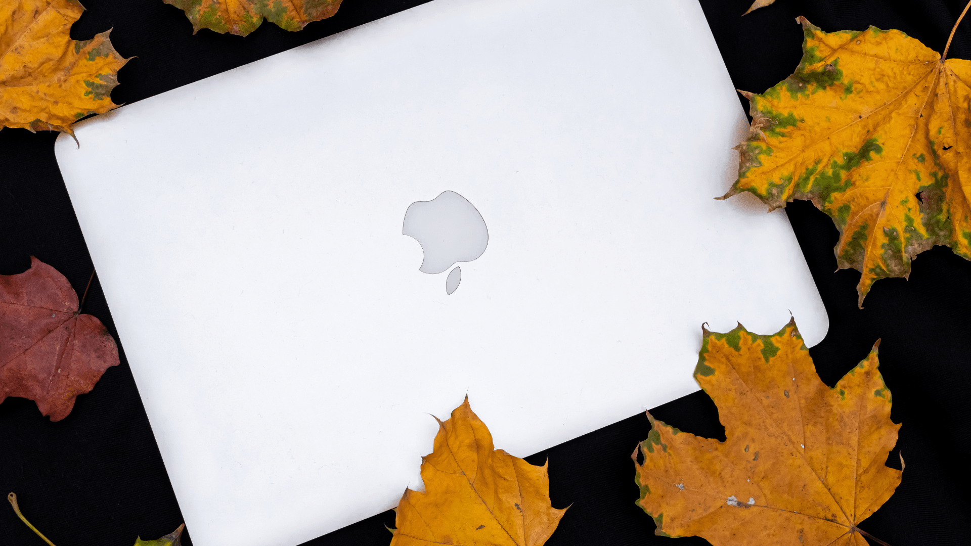 2025년 게이밍을 위한 최고의 Mac image