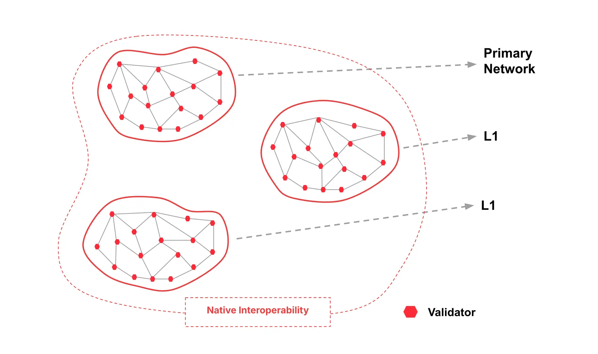 Everything You Need To Know About Avalanche Protocol
