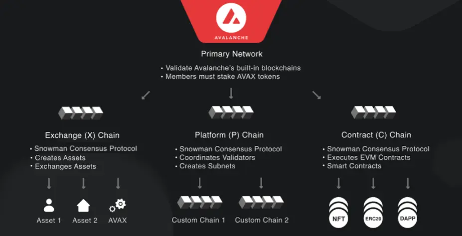 Everything You Need To Know About Avalanche Protocol