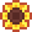 Token Icon