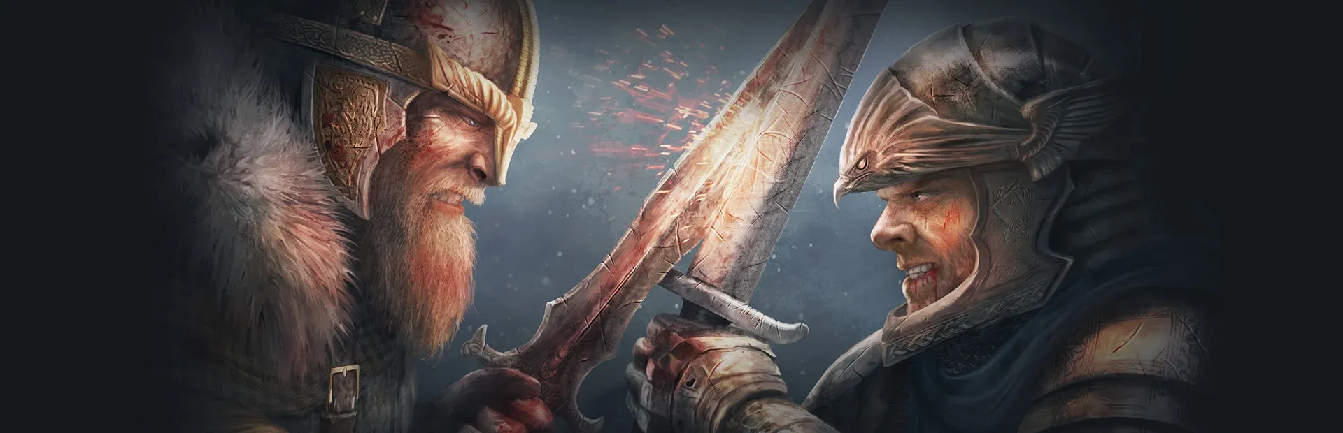 Age of Empires II (Retired) Banner