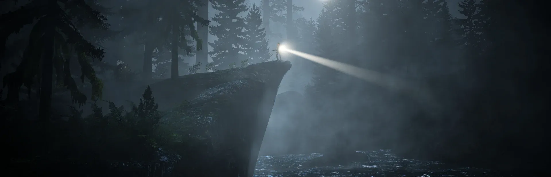 Alan Wake Banner
