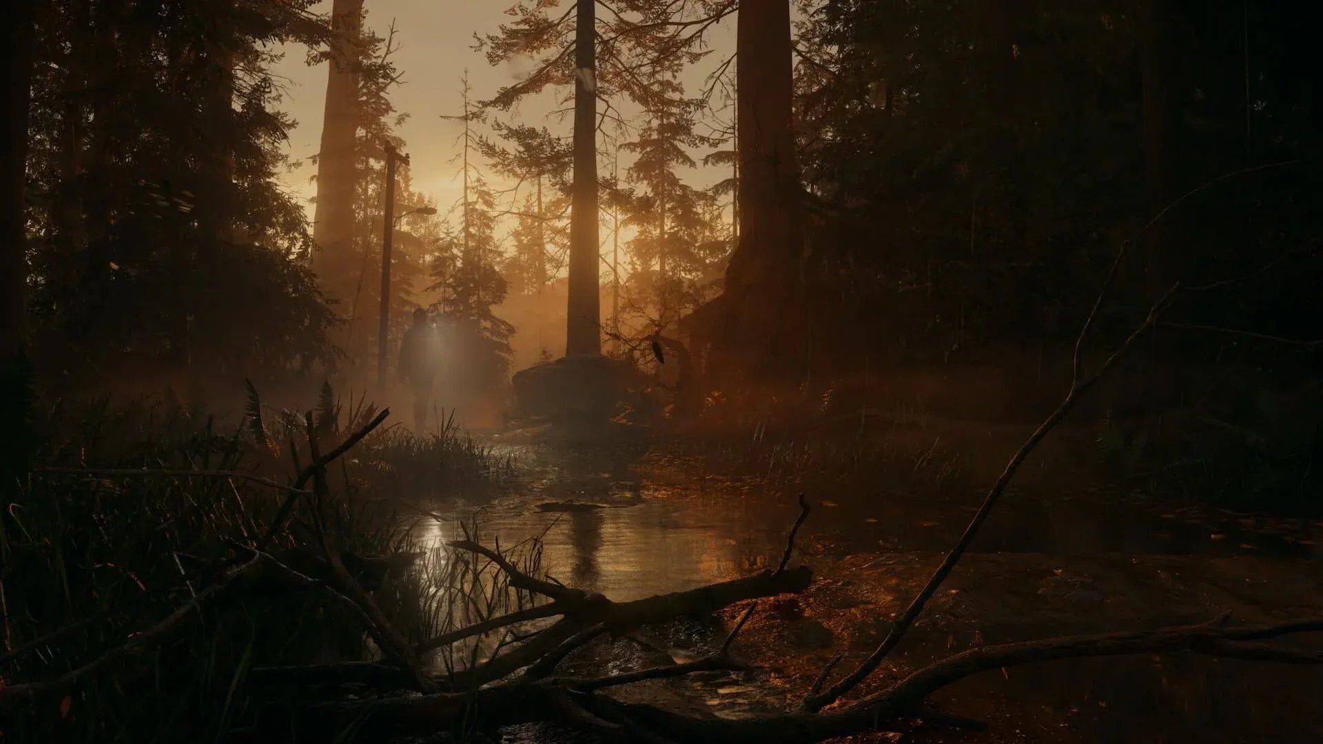 Alan Wake II Screenshot 1