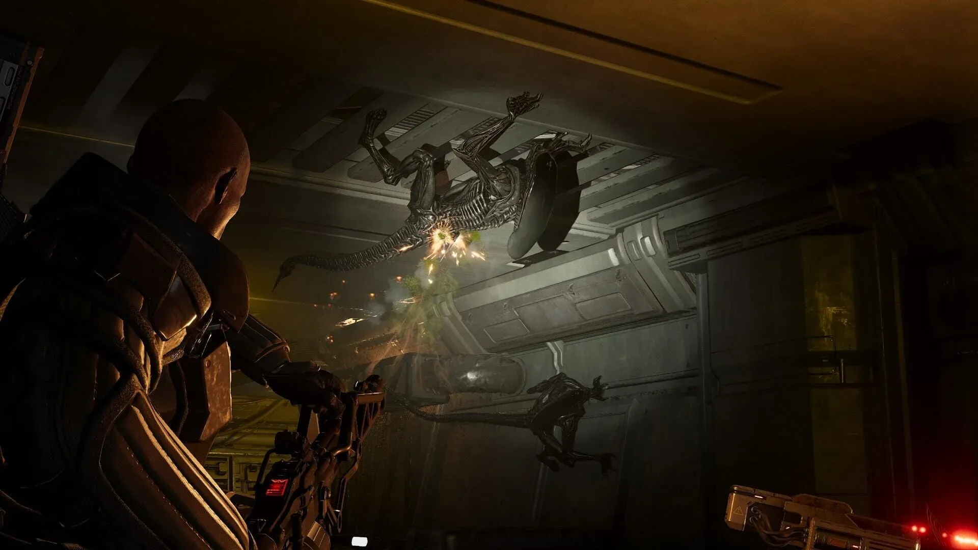Aliens: Fireteam Elite 2 Banner
