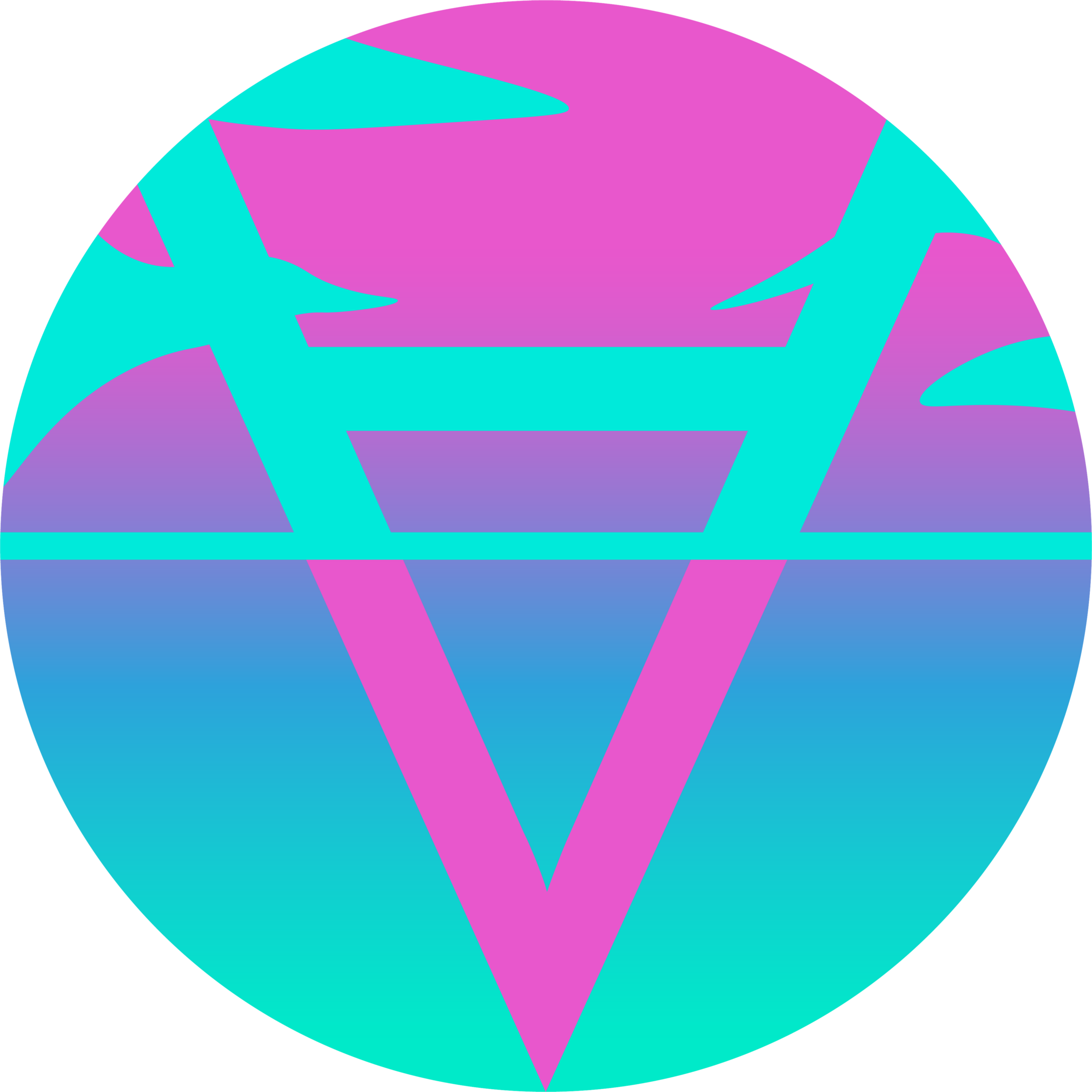 Token Icon
