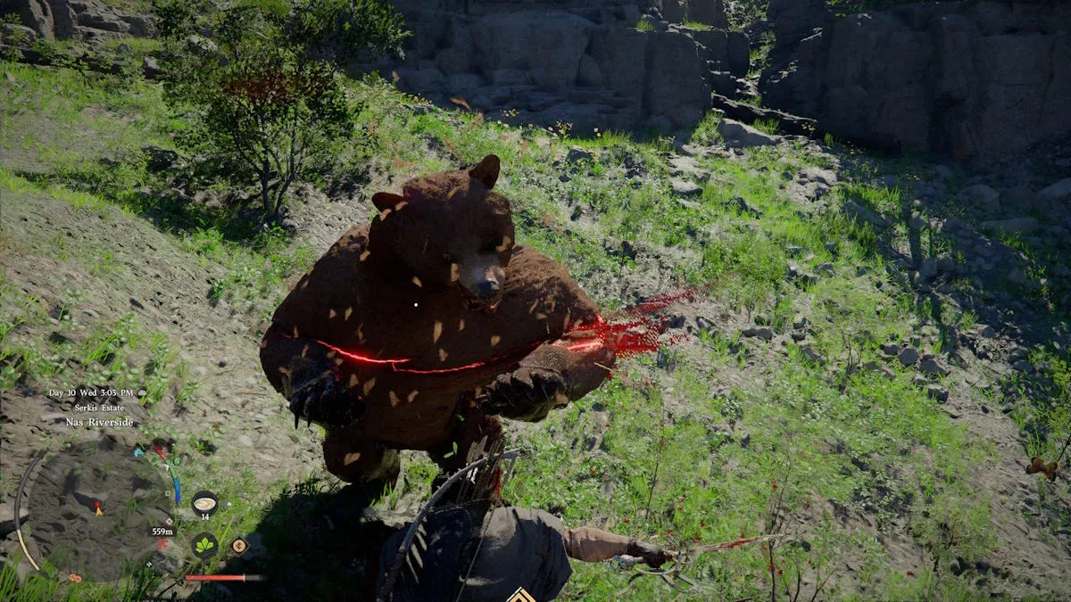 乗るためのクマとの戦闘