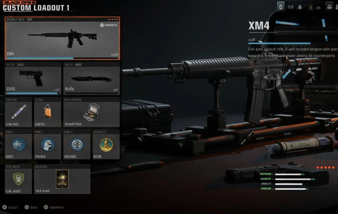 AR loadout with camo applied