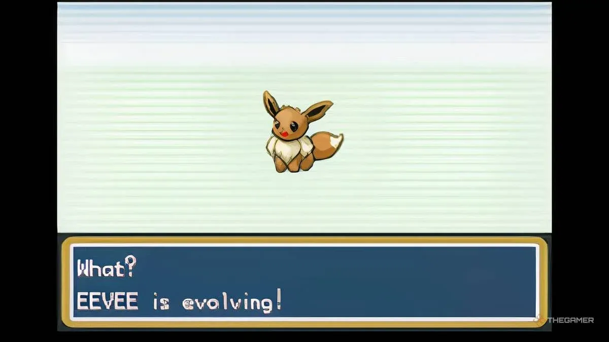 Buy Evolution Stones here