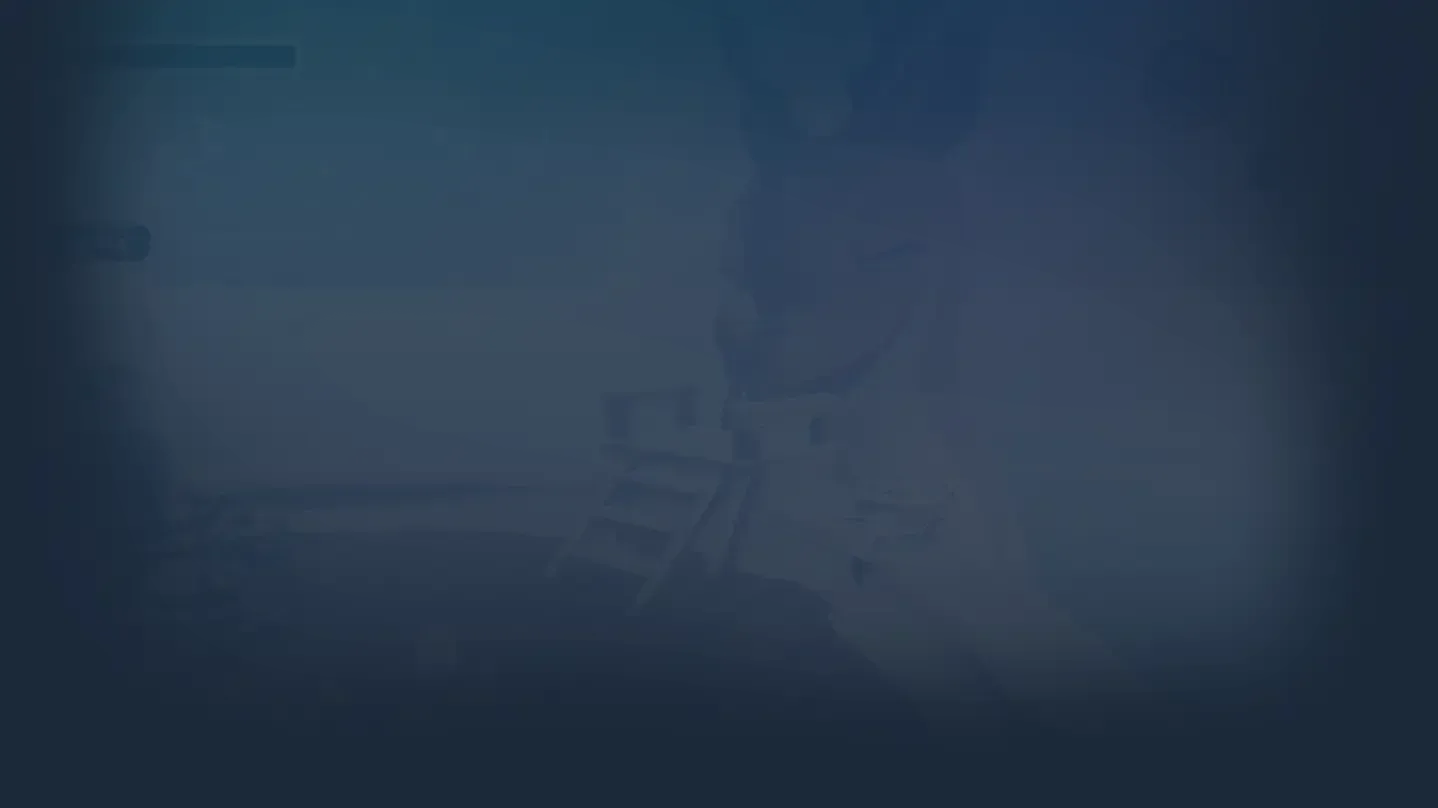 Collector's Cove Banner