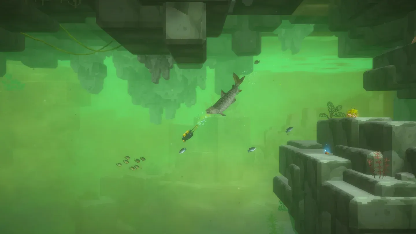 Vegetation Cave entrance location