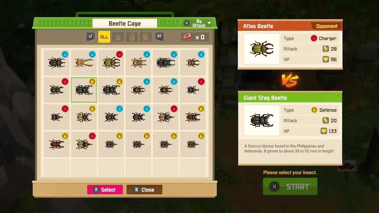Beetle stat selection screen