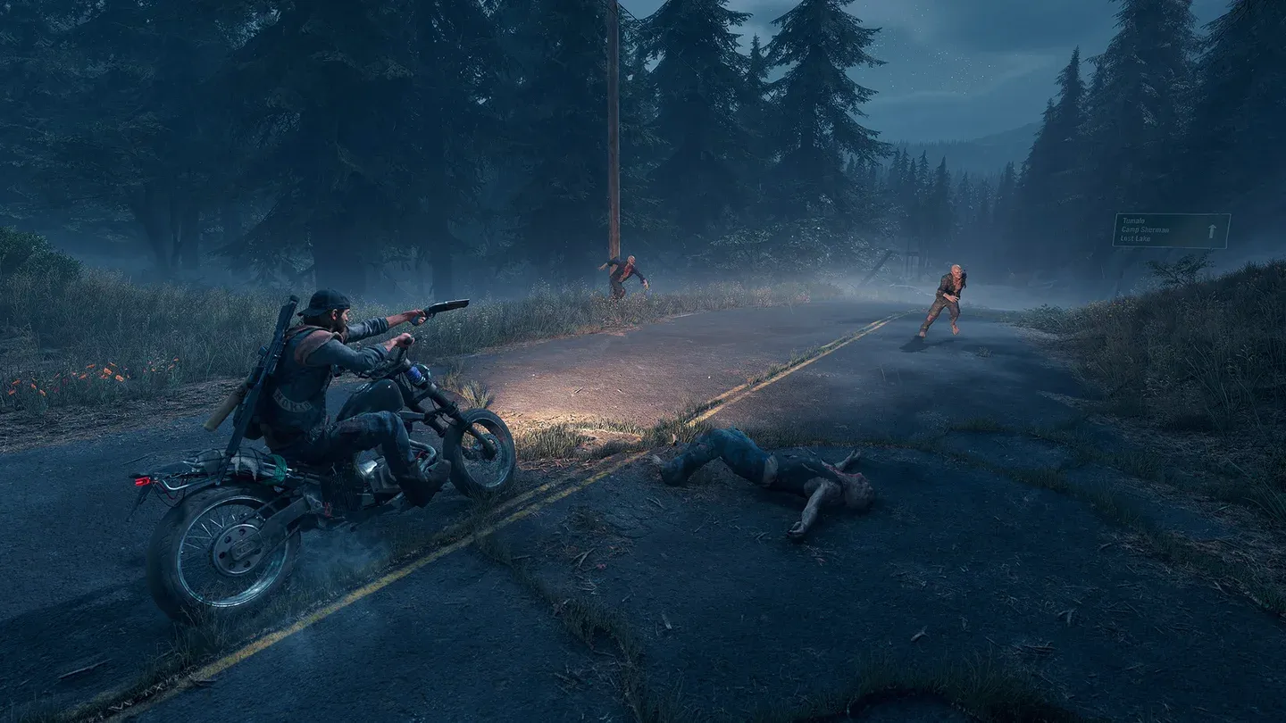 Days Gone Gallery 7