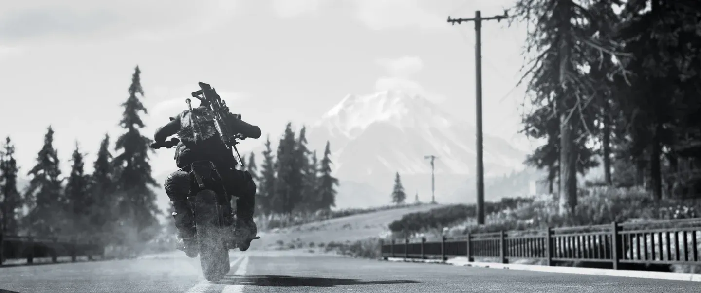 Days Gone Gallery 8