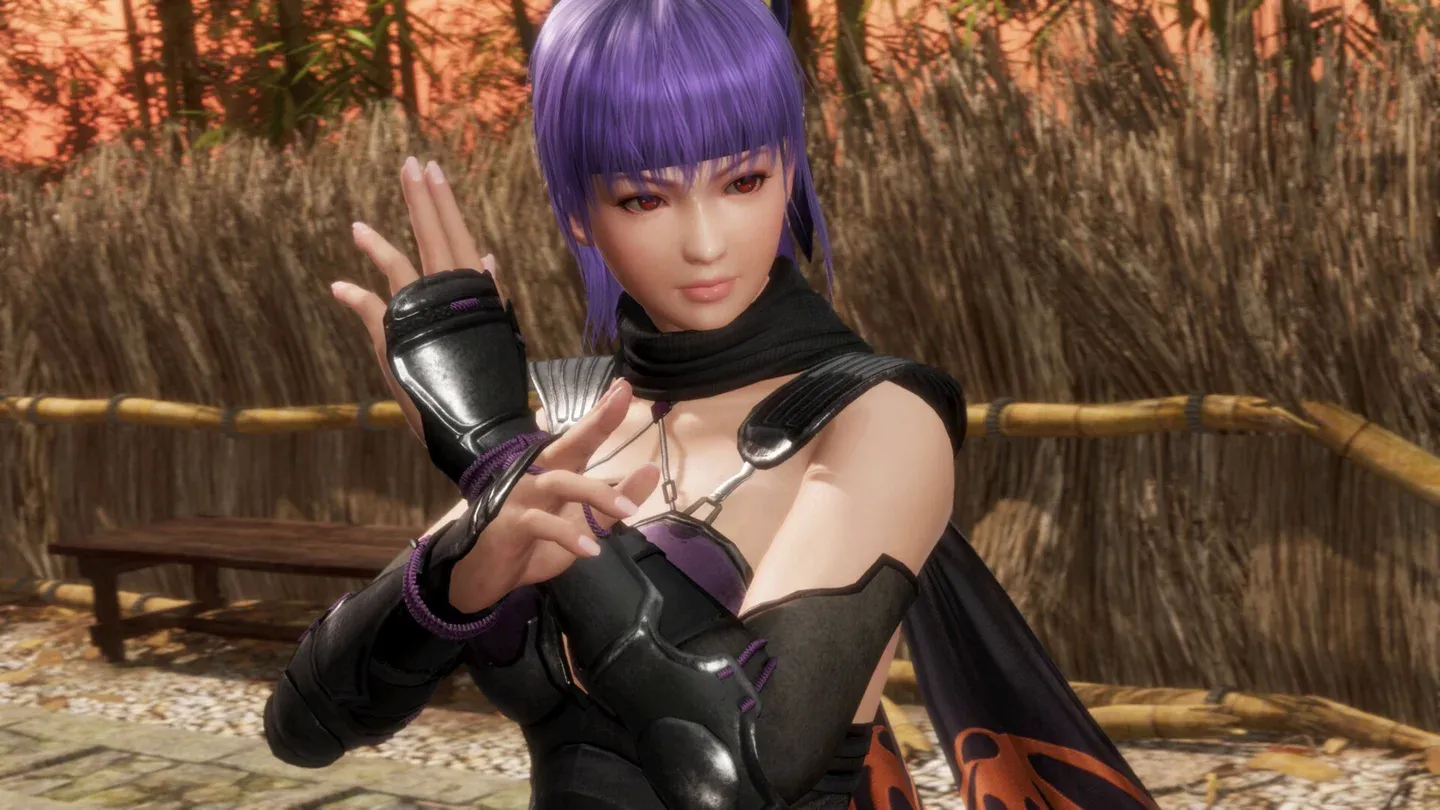 DEAD OR ALIVE 6 Last Round Gallery 3