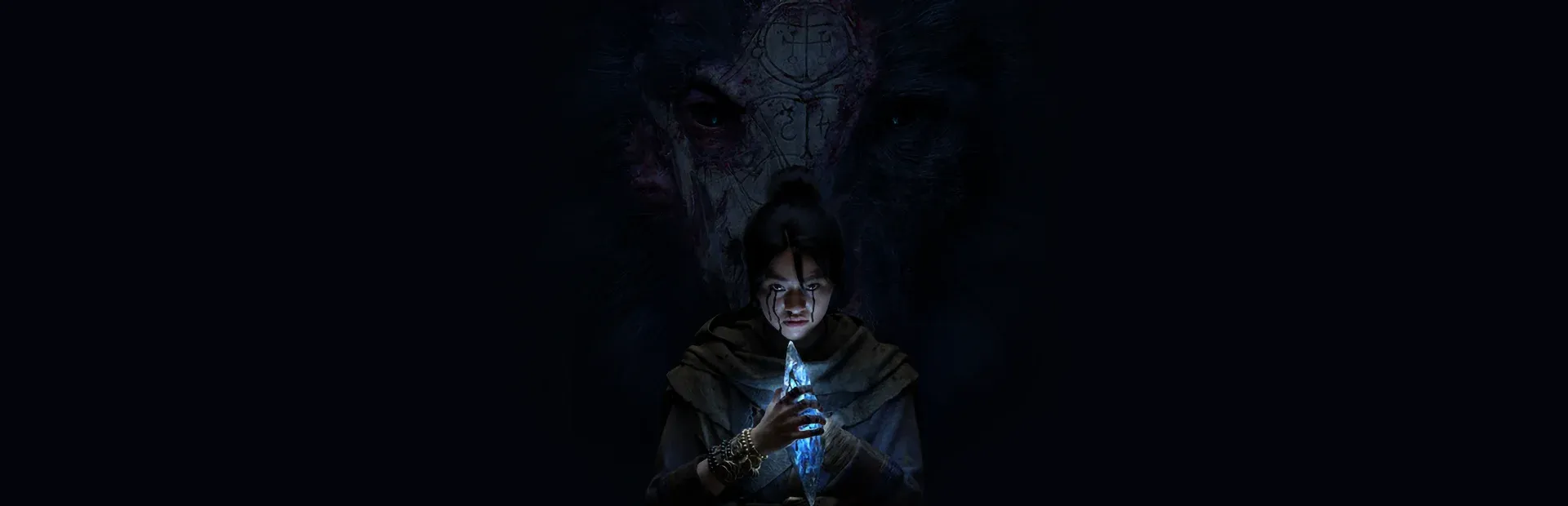 Diablo V Banner