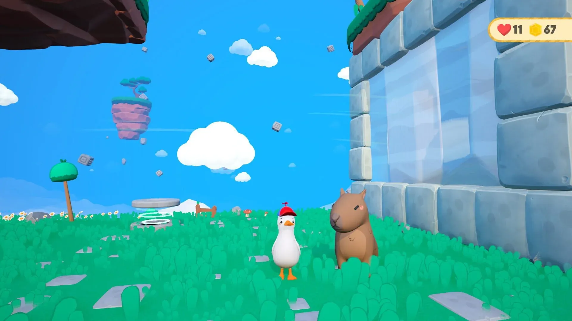 Dodo Duckie Screenshot 13