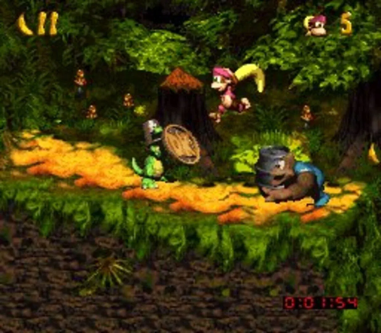 Donkey Kong Country 3: Dixie Kong's Double Trouble! Gallery 5