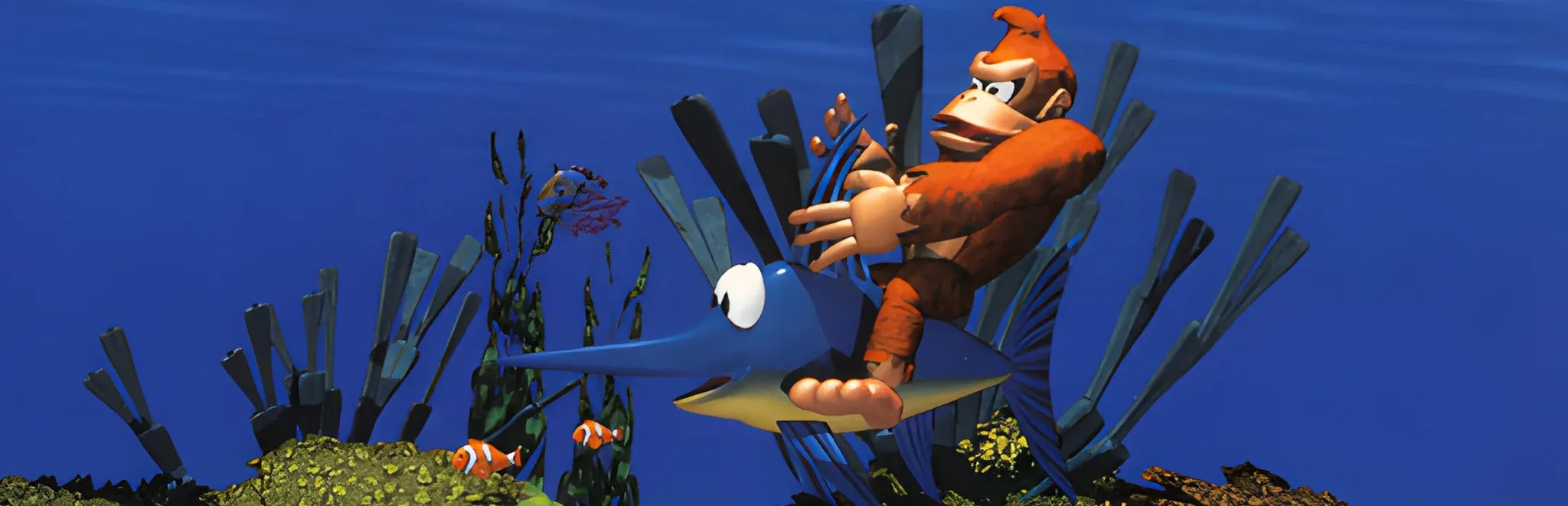 Donkey Kong Country Banner