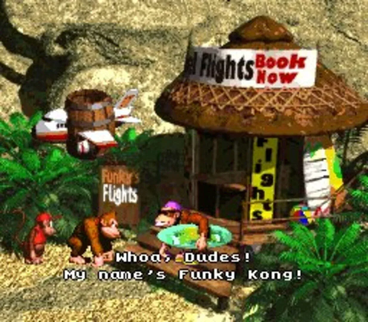 Donkey Kong Country Gallery 10