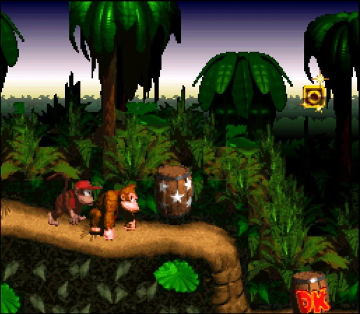 Donkey Kong Country Gallery 1