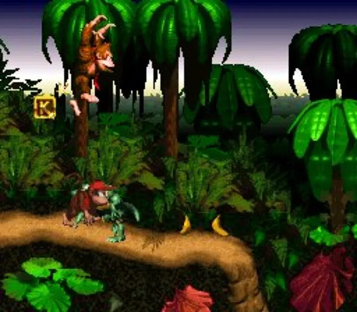 Donkey Kong Country Gallery 5