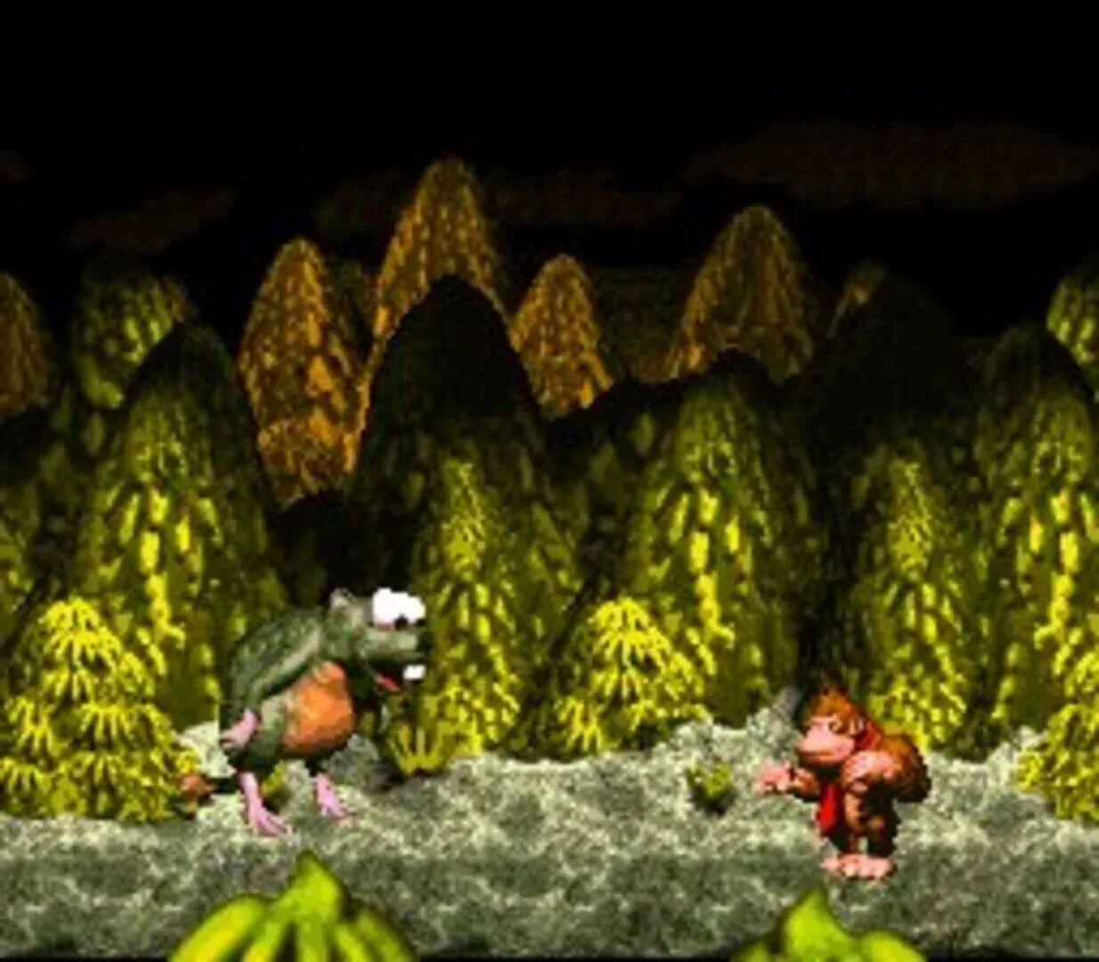 Donkey Kong Country Gallery 8
