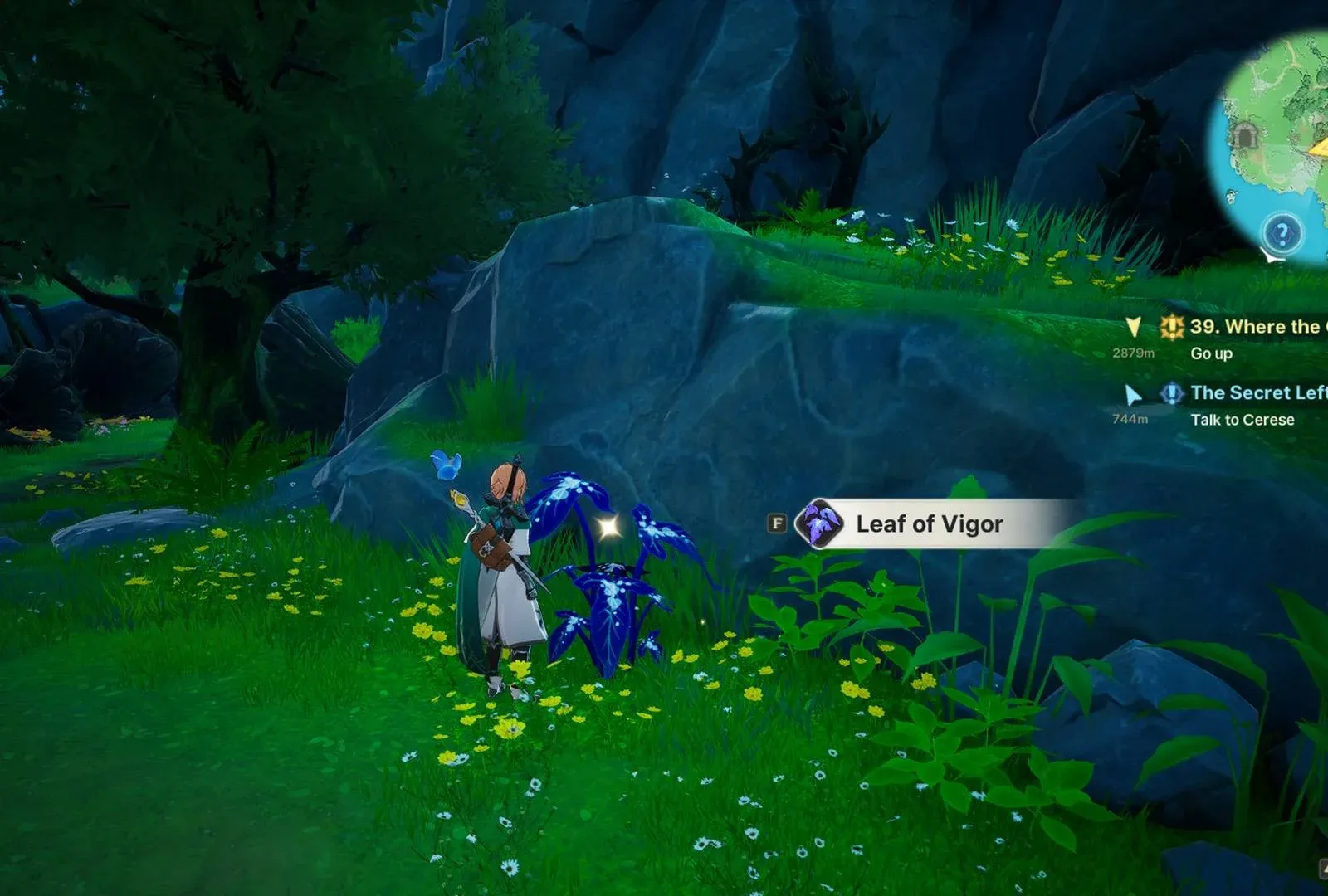DragonSword: Awakening Guide: Where to Find Leaf of Vigor