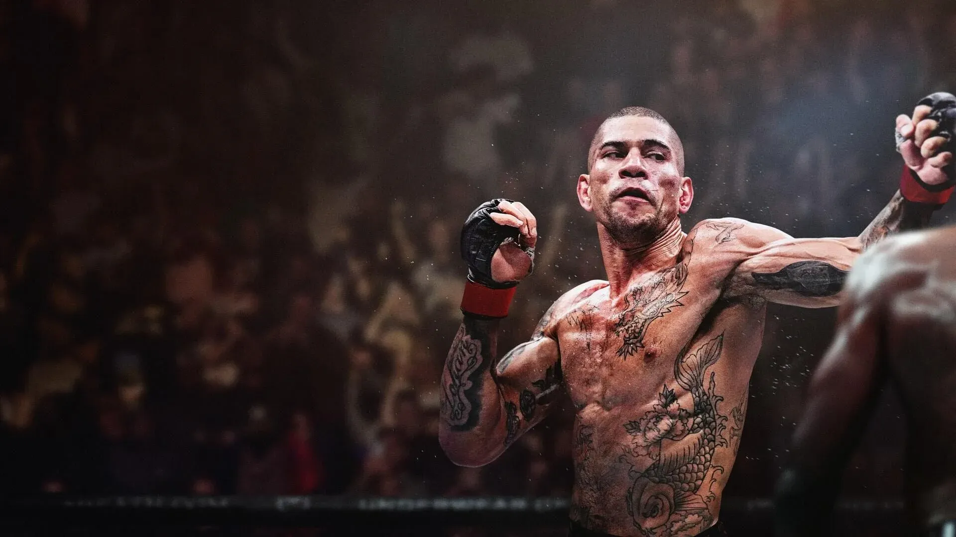 EA Sports UFC 6 Banner