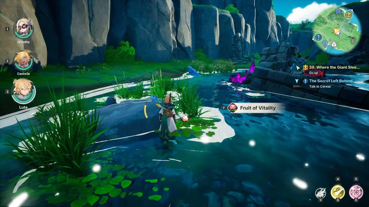 Fruit of Vitality lake nodes