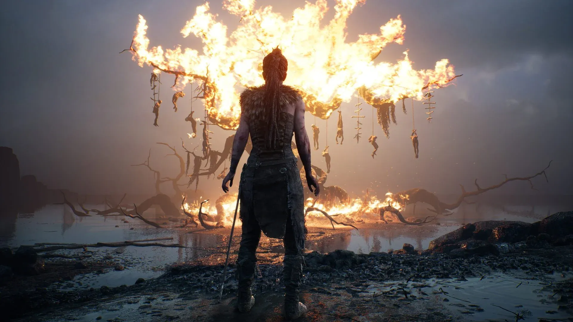 Hellblade: Senua's Sacrifice Banner