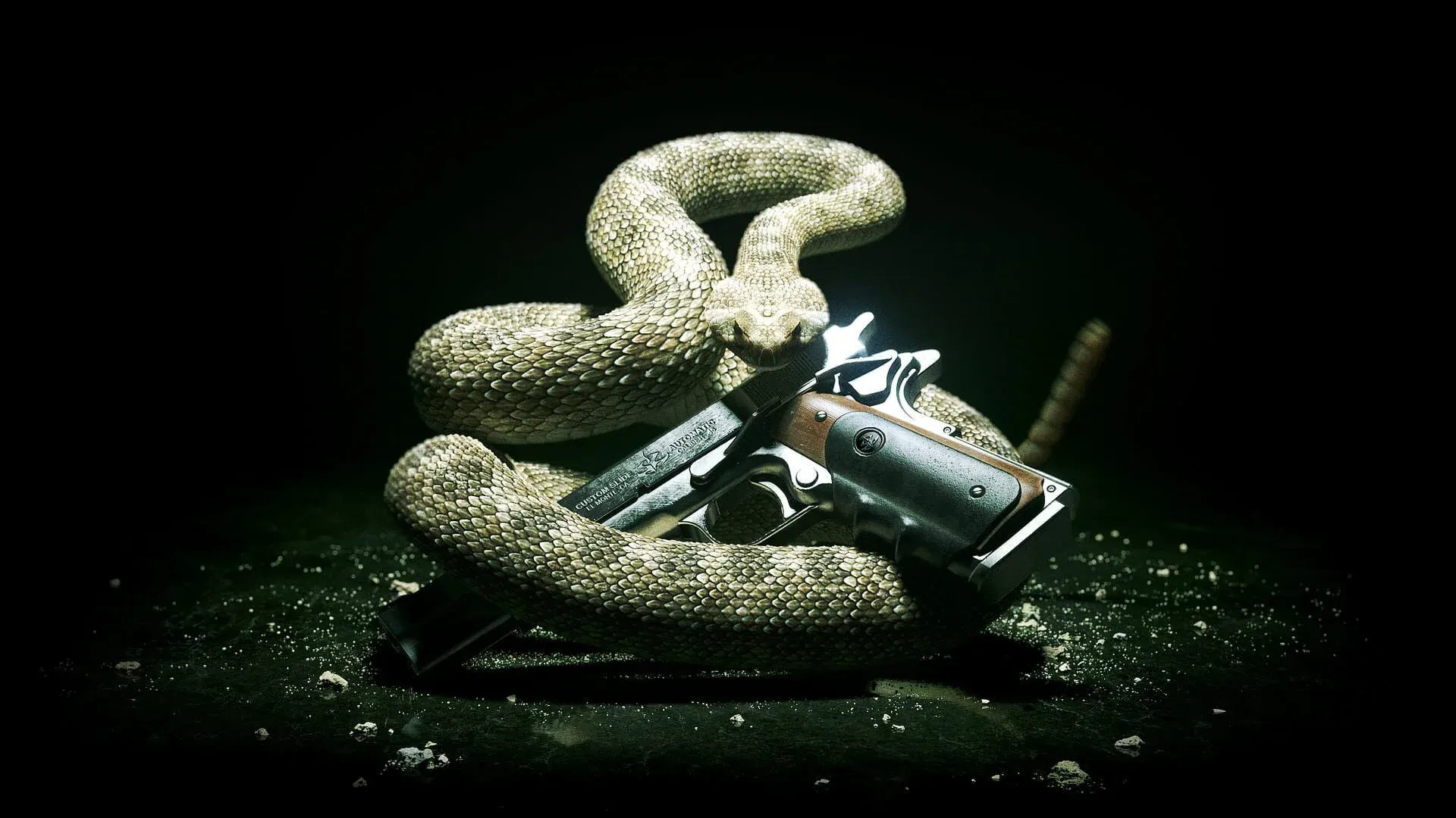 Hitman: Absolution™ Banner