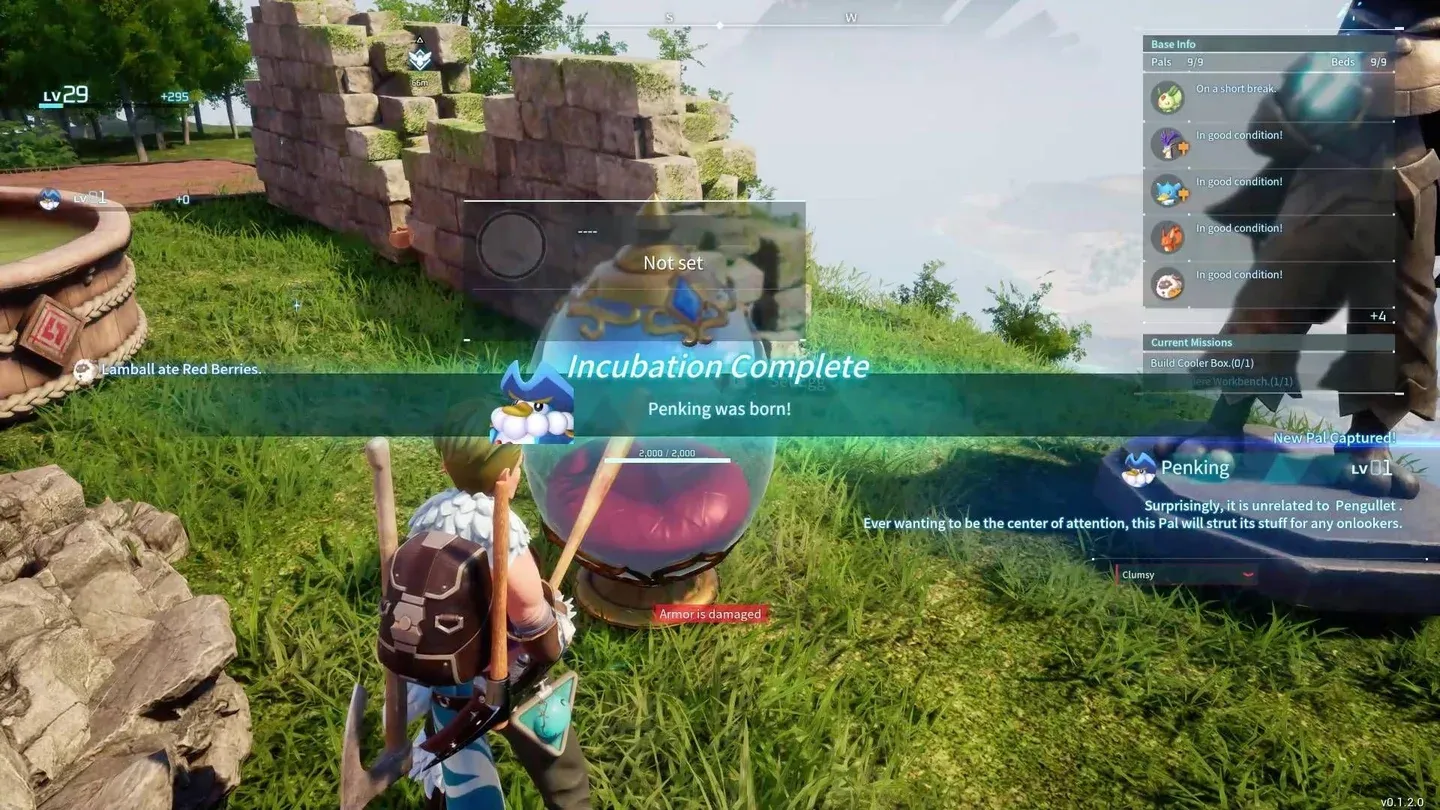 Egg Incubator at base