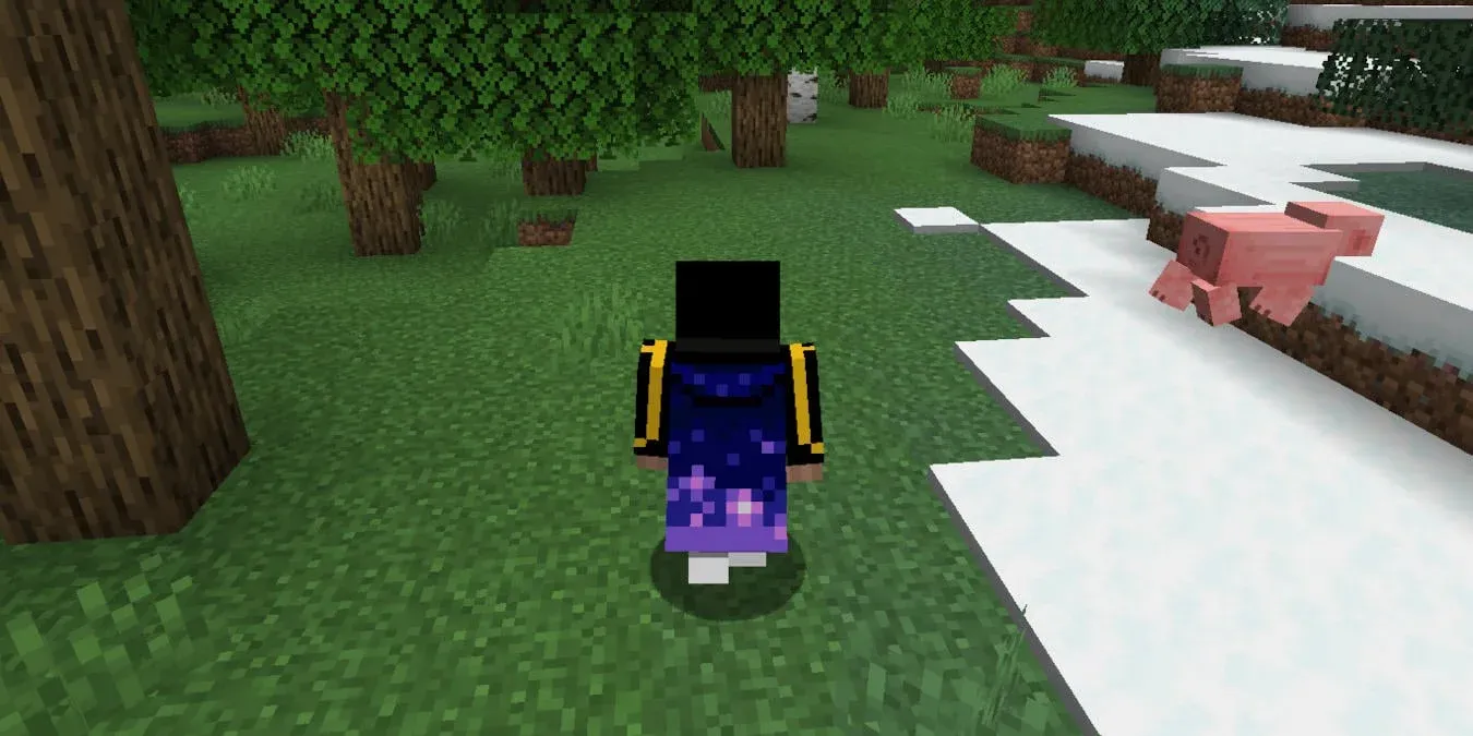 Cape equip screen in Minecraft