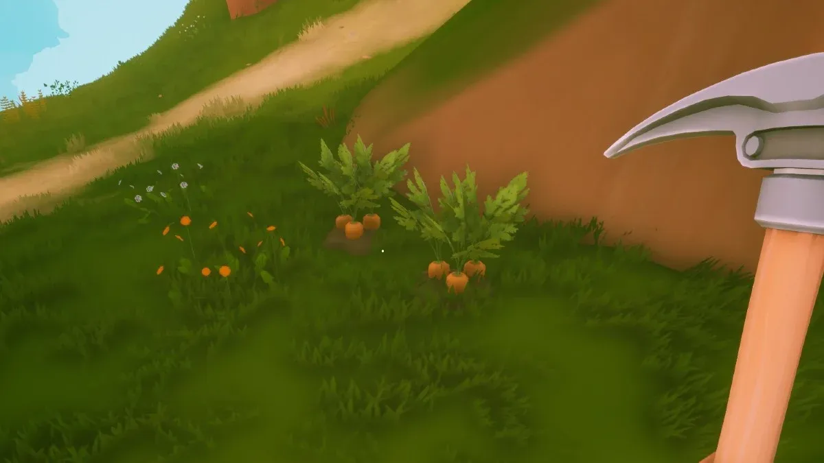 Southern island Carrot locations
