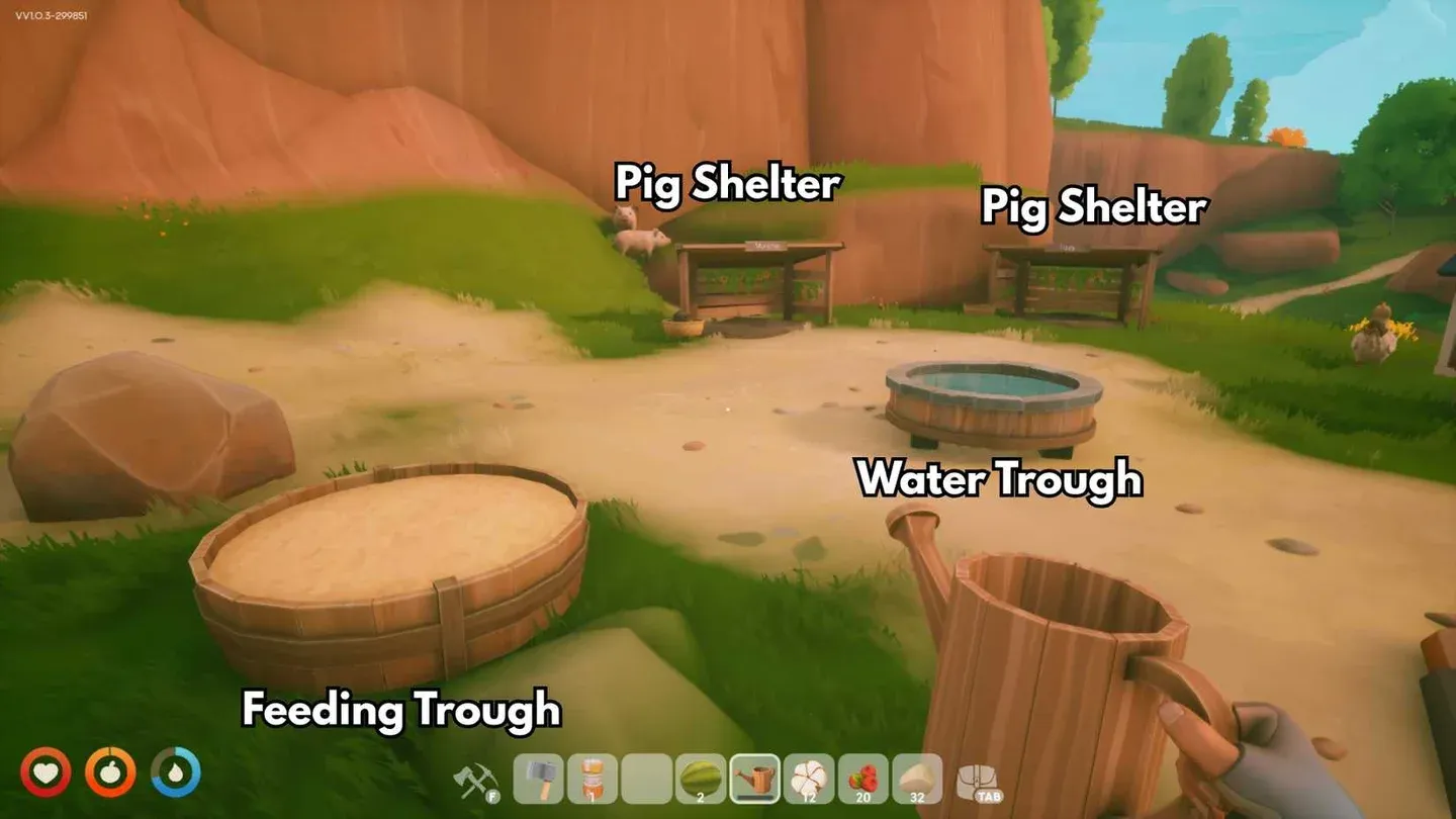 Trough layout near pig shelter