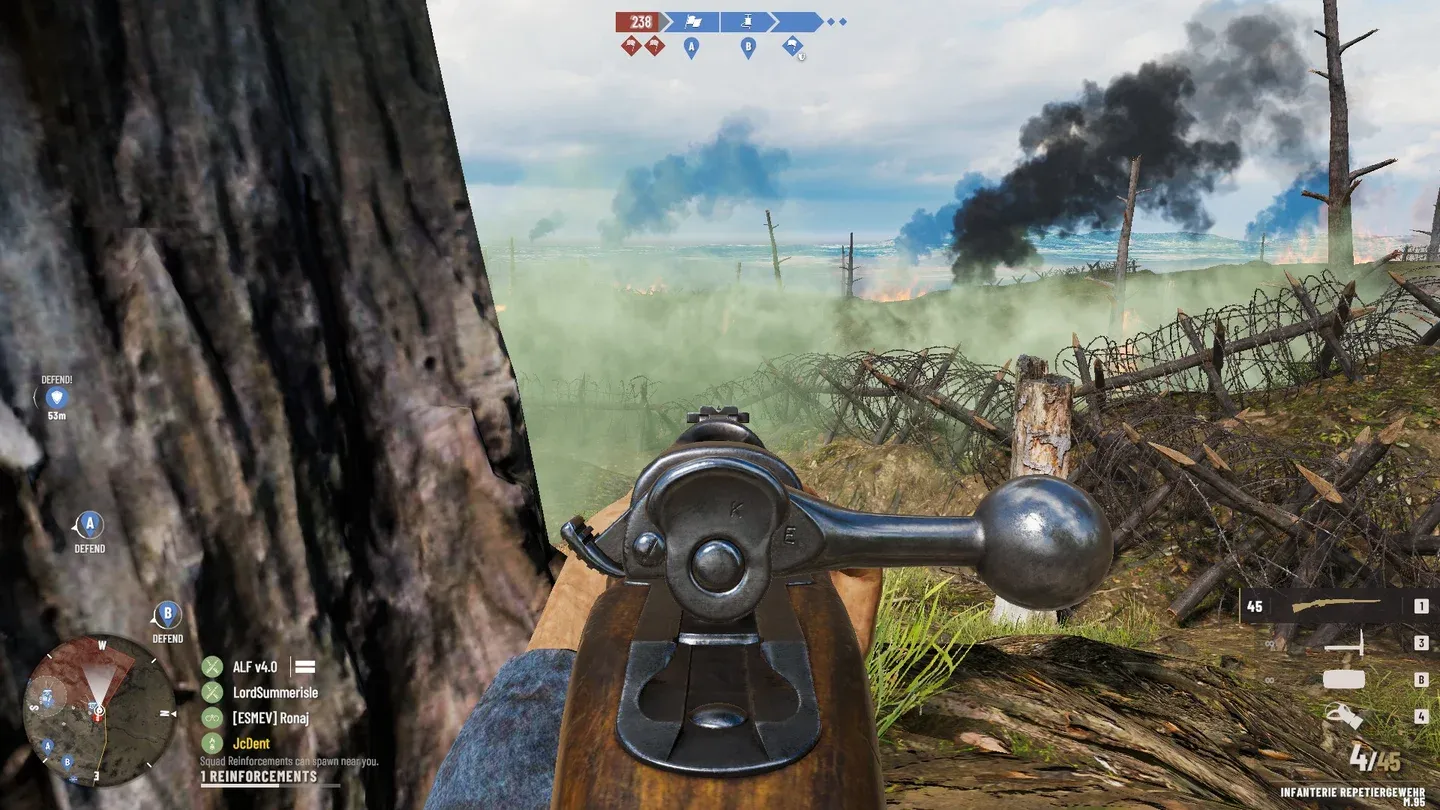 Bolt-action iron sights view