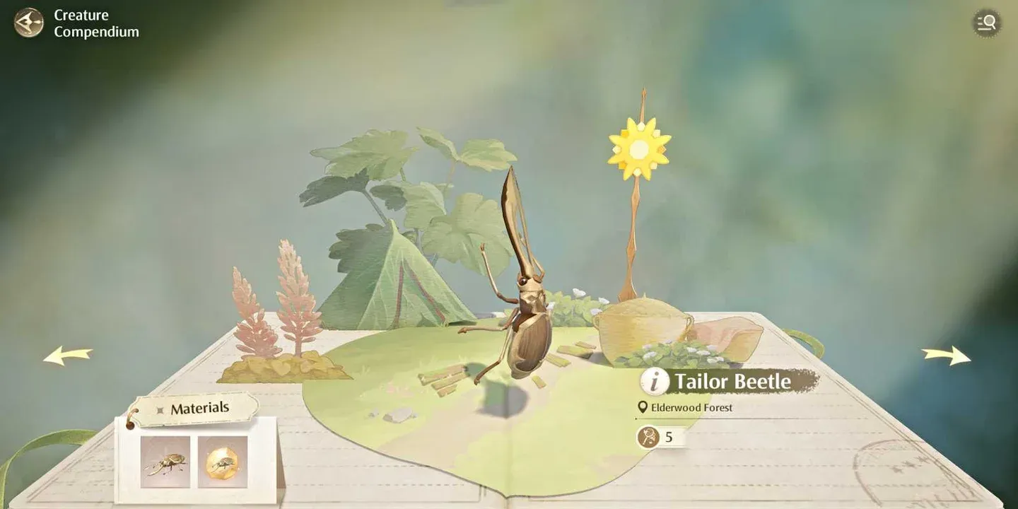 Bug-Catching in Elderwood Forest