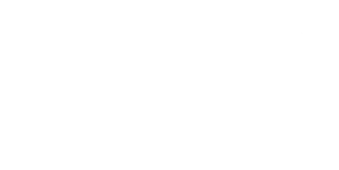Mark of the Ninja Logo