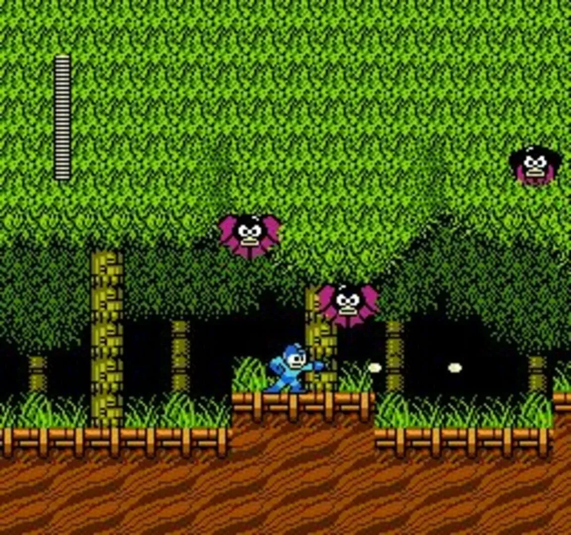 Mega Man 2 Gallery 9