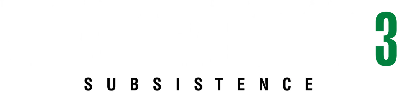Metal Gear Solid 3: Subsistence