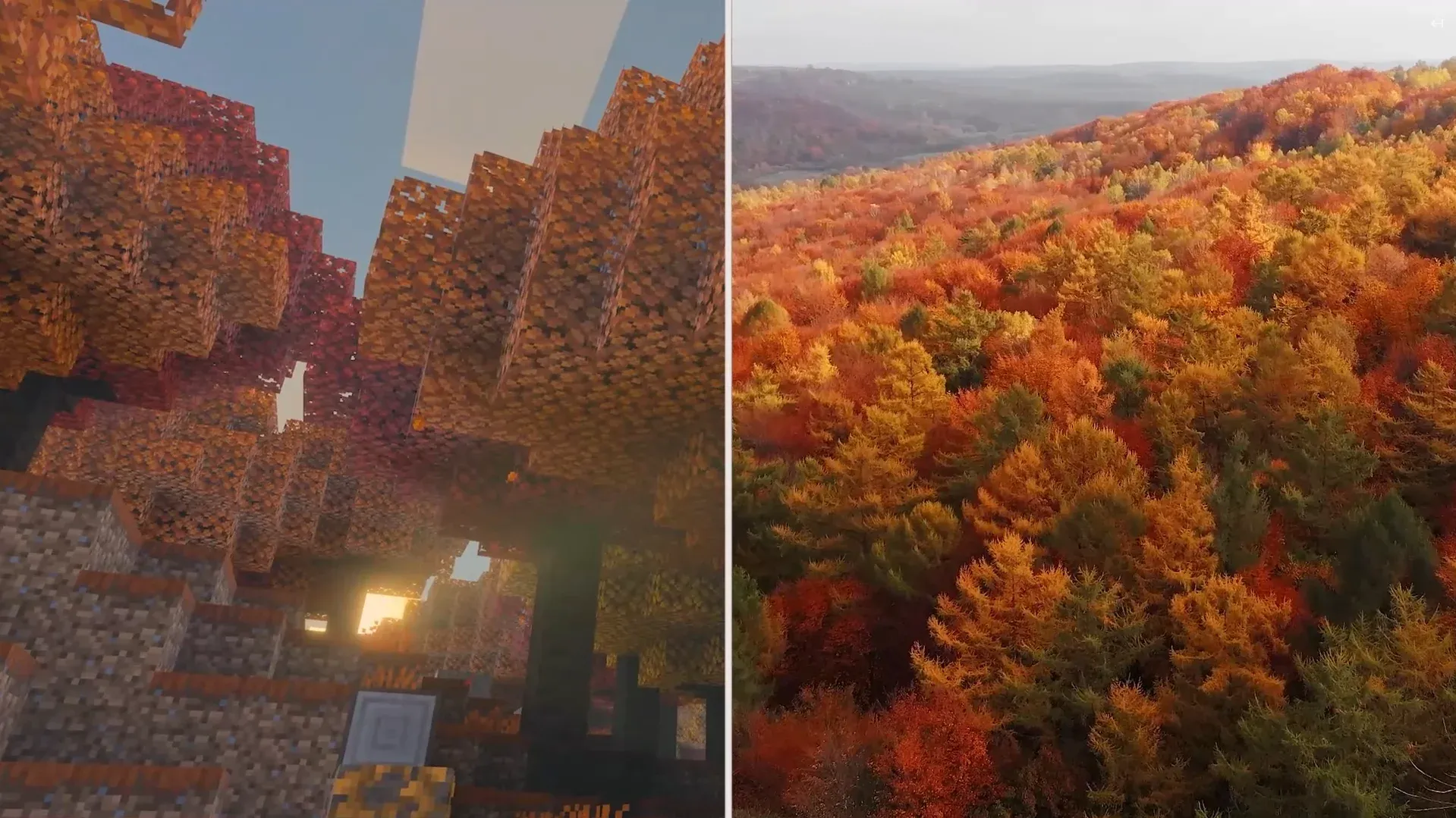 Minecraft's Dappled Forest Biome Is Coming This Fall