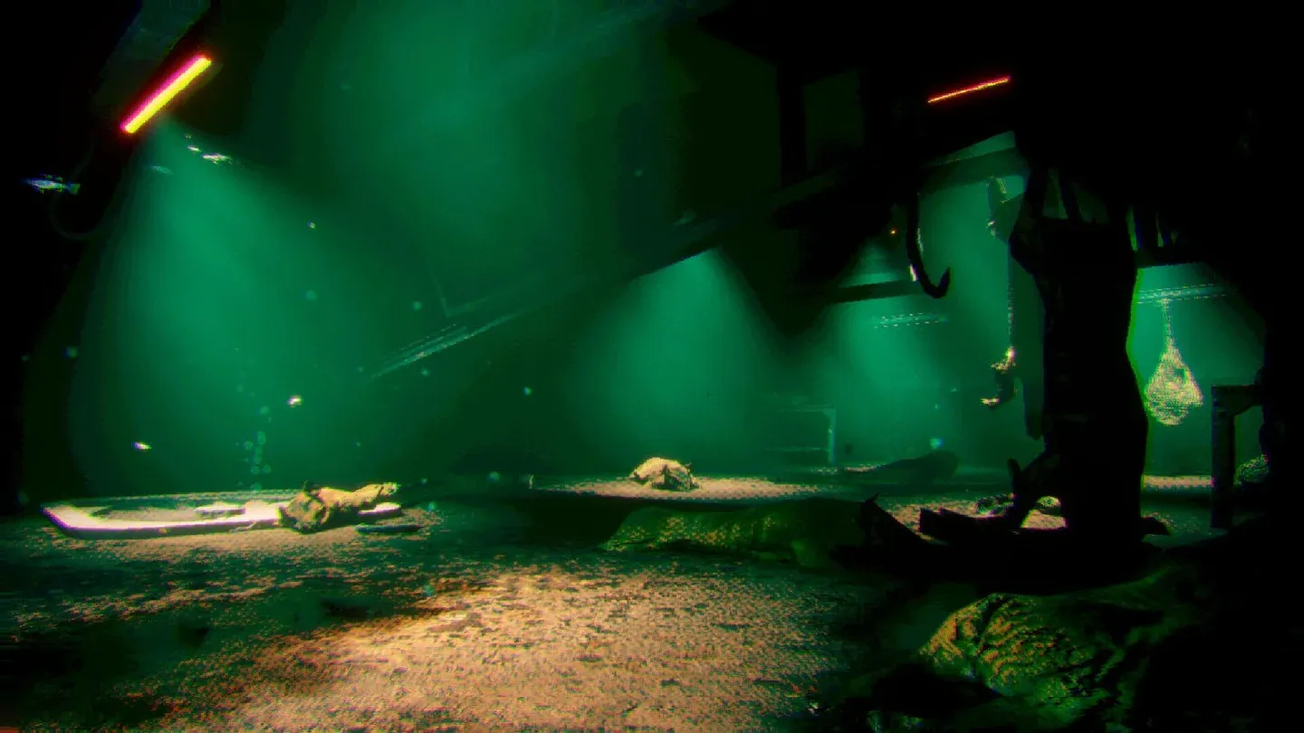 Murky Divers Gallery 9