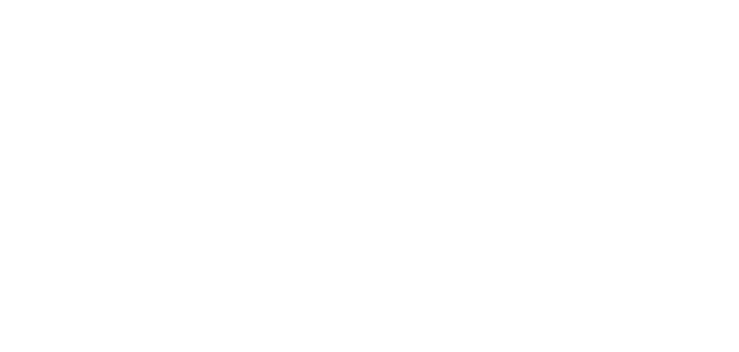 neva game logo png.webp