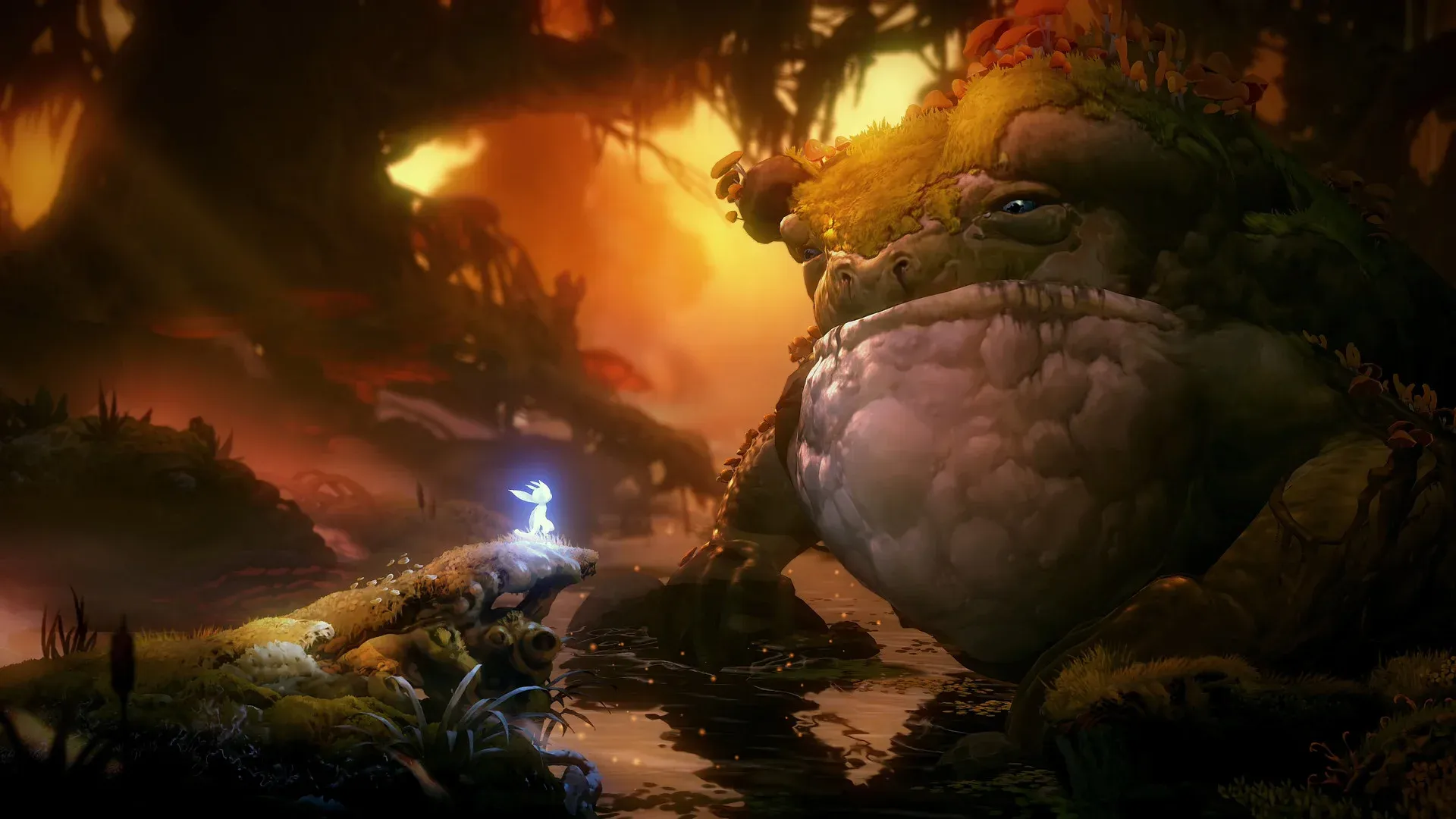 Ori and the Will of the Wisps Screenshot 10