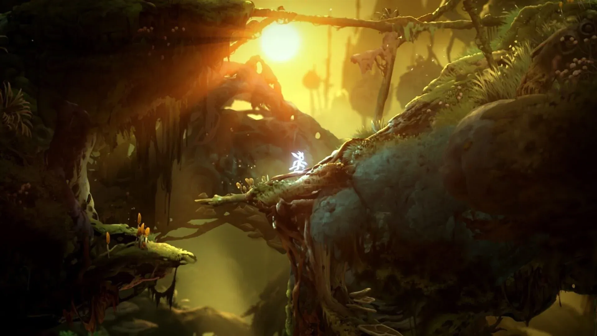 Ori and the Will of the Wisps Screenshot 27
