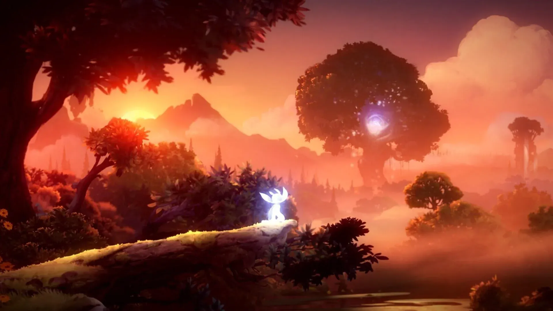 Ori and the Will of the Wisps Screenshot 33