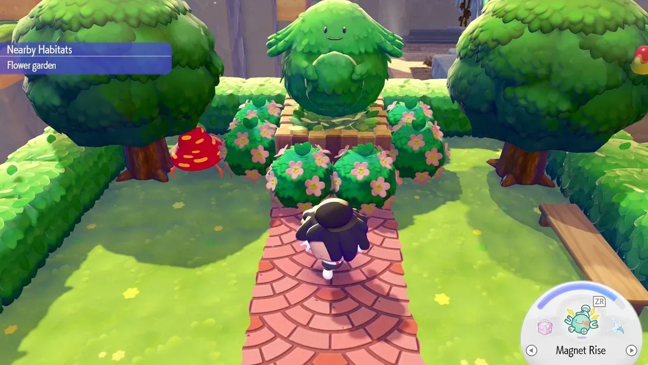 Chansey Plant on homestead